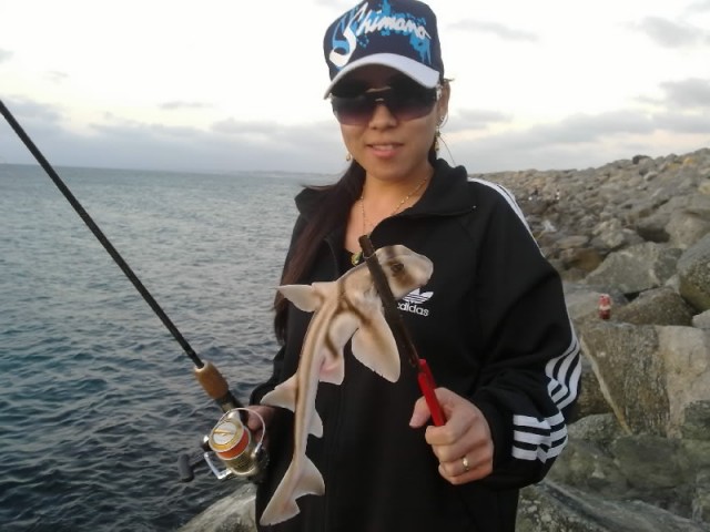 The wife and her first port jackson The wife and her first port jackson
